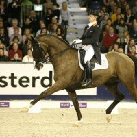 dressage