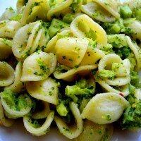 orecchiette