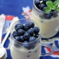 Cupoletta di yogurt con salsa ai mirtilli