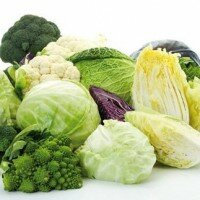 Dieta anti raffreddore