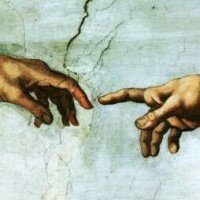 Grazie alle nostre mani siamo diventati intelligenti